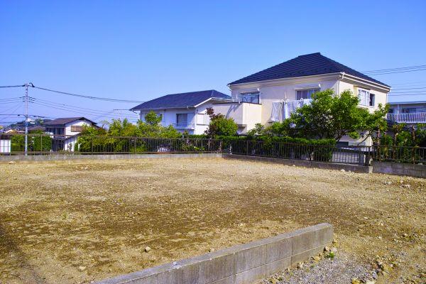 Cost of Lot Clearing Service in Novato