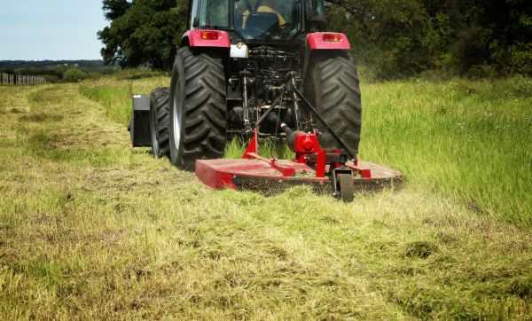 Brush Clearing Service in Novato