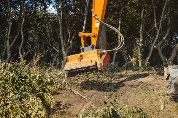 Brush Removal Service in Novato