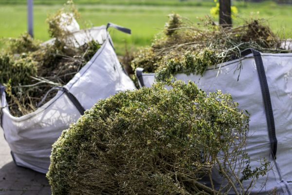 Cost of Bushes Clearing in Novato