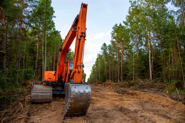 Backhoe Land Clearing in Novato