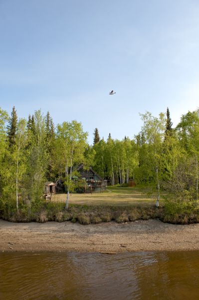 Waterfront Land Clearing in Novato