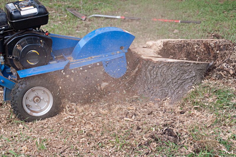Stump Grinding and Debris Removal