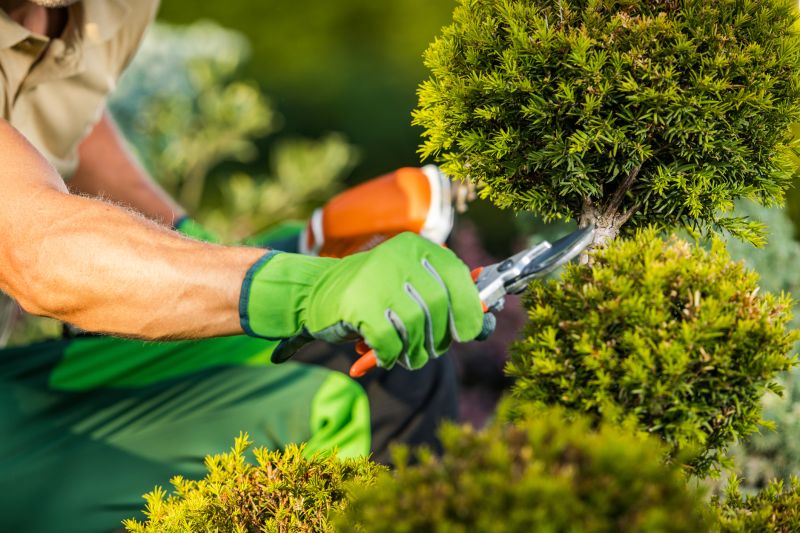 Local Landscaping Services